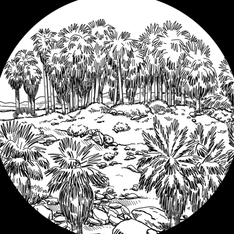 FULTON & ROARK SOLID COLOGNE - THOUSAND PALMS
