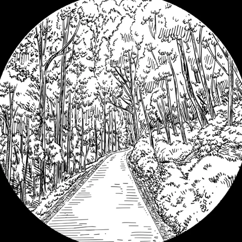 FULTON & ROARK SOLID COLOGNE - ROARK'S COVE